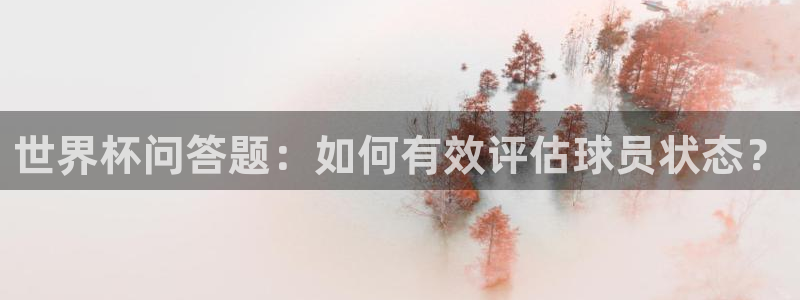 世界杯16强赛程表：世界杯问答题：如何有效评估球员状态？