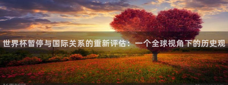欧洲世界杯预选赛赛程：世界杯暂停与国际关系的重新评估：一个全球视角下的历史观