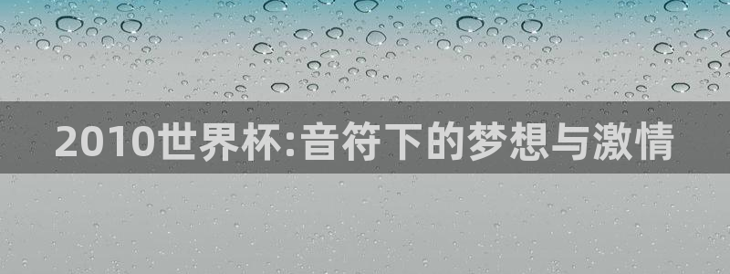 今天所有足球赛程表：2010世界杯:音符下的梦想与激情