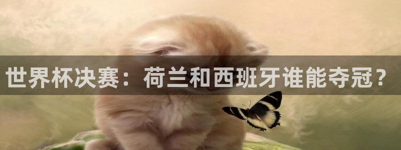 西超杯直播：世界杯决赛：荷兰和西班牙谁能夺冠？