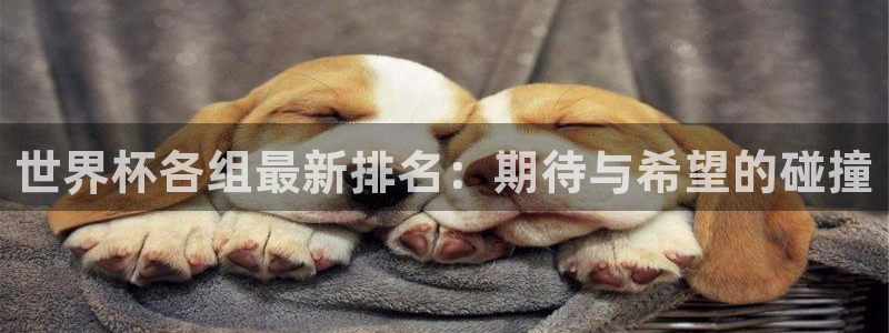 2026世界杯日期：世界杯各组最新排名：期待与希望的碰撞