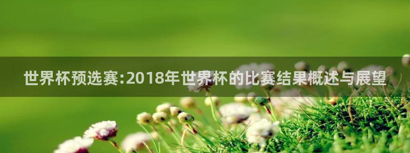 世界杯亚洲区预选赛：世界杯预选赛:2018年世界杯的比赛结果概述与展望
