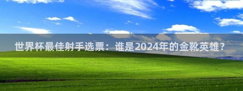 世界杯欧洲预选赛赛程：世界杯最佳射手选票：谁是2024年的金靴英雄？