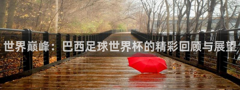 2026世界杯赛程时间表最新：世界巅峰：巴西足球世界杯的精彩回顾与展望