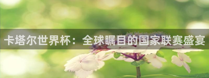足球世界杯2026年赛程时间表：卡塔尔世界杯：全球瞩目的国家联赛盛宴