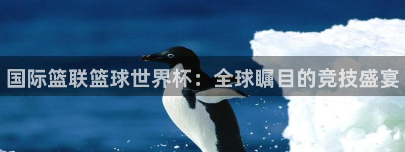 女足世界杯赛程：国际篮联篮球世界杯：全球瞩目的竞技盛宴