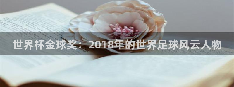 足球世界杯赛程：世界杯金球奖：2018年的世界足球风云人物