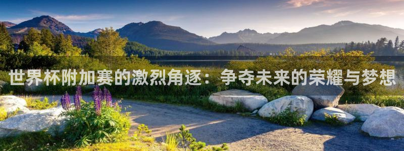 2026世界杯赛制：世界杯附加赛的激烈角逐：争夺未来的荣耀与梦想
