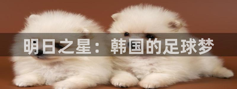 世界杯决赛直播：明日之星：韩国的足球梦