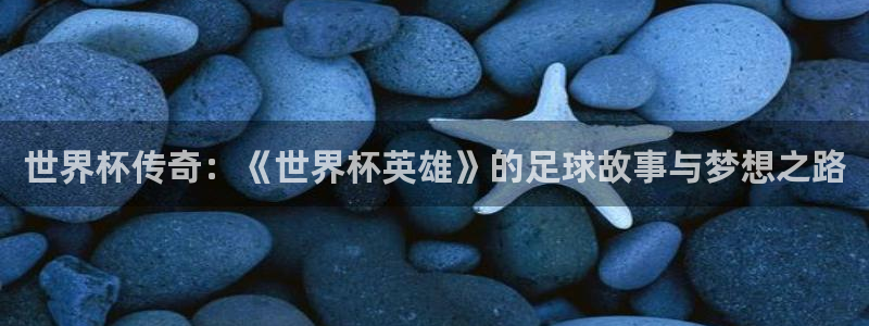 2026世界杯赛程：世界杯传奇：《世界杯英雄》的足球故事与梦想之路