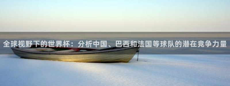 2026世界杯预选赛：全球视野下的世界杯：分析中国、巴西和法国等球队的潜在竞争力量