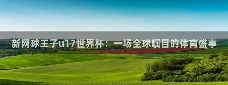 世界杯预选赛直播：新网球王子u17世界杯：一场全球瞩目的体育盛事