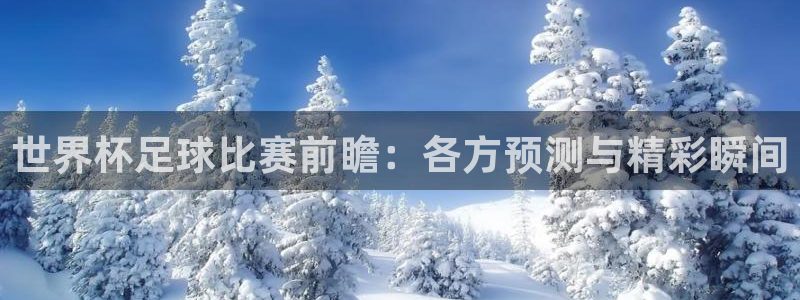 2026世界杯亚洲预选赛：世界杯足球比赛前瞻：各方预测与精彩瞬间
