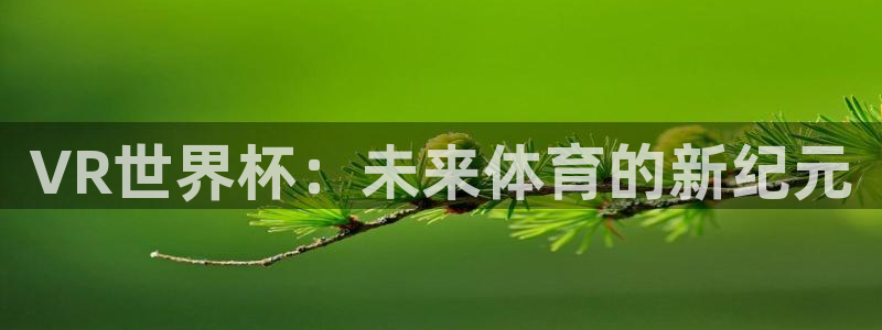 2026年世界杯直播平台：VR世界杯：未来体育的新纪元