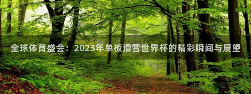 世界杯第一场比赛：全球体育盛会：2023年单板滑雪世界杯的精彩瞬间与展望