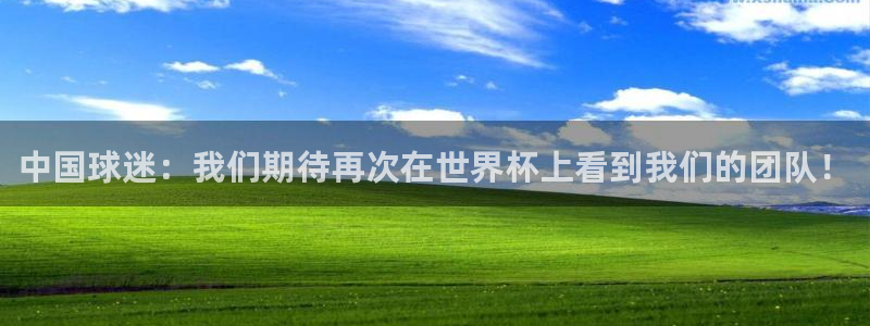 世界杯亚洲区预选赛：中国球迷：我们期待再次在世界杯上看到我们的团队！