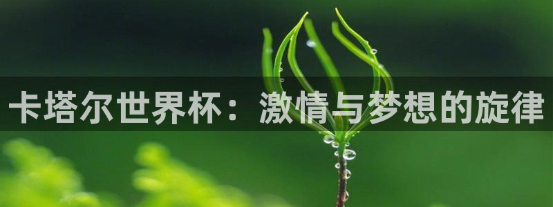 2026年世界杯直播平台：卡塔尔世界杯：激情与梦想的旋律