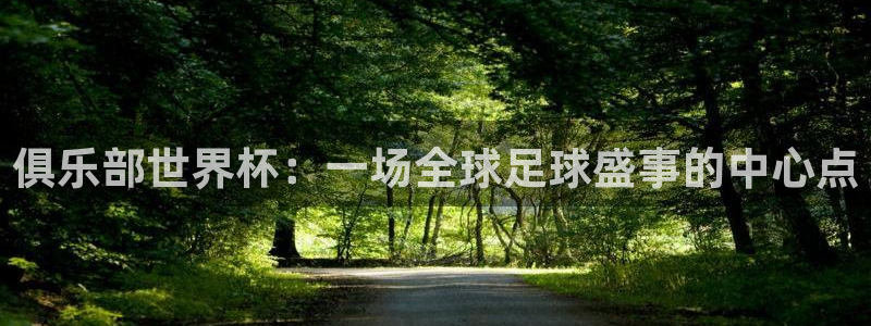 看世界杯：俱乐部世界杯：一场全球足球盛事的中心点